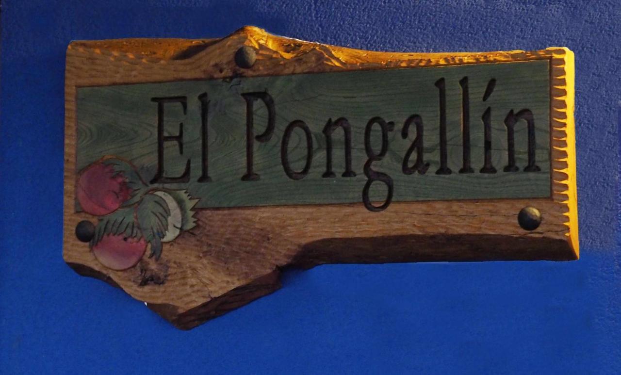 El Pongallin Ideal Para Familias V Vacacional 268 Sevares Екстер'єр фото